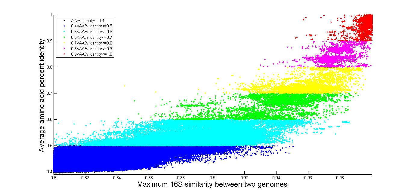 % AAI vs .Maximum 16S simliarity between 2 genomes